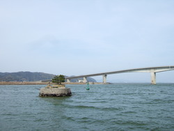 中海大橋を見る景色