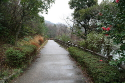 荒神谷遺跡公園のため池②