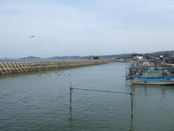 白鳥海岸②　船着場