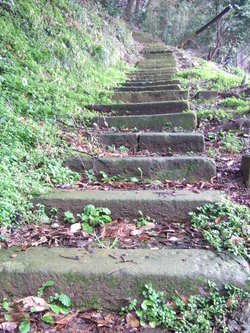 神社　（美保関）