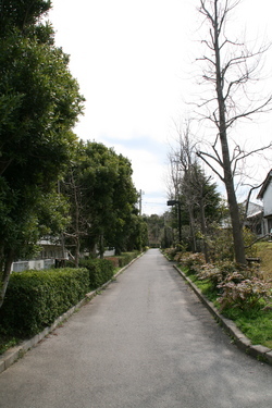 浜乃木７丁目の風景②
