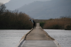 斐伊川にかかる小さな橋
