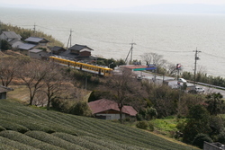 茶畑と宍道湖と一畑電車