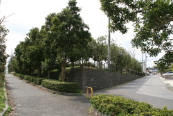 浜乃木７丁目の風景②