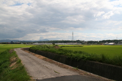 大社　遥堪地区の田園風景②