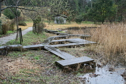 荒神谷遺跡公園のため池①