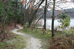 荒神谷遺跡公園のため池②