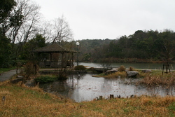 荒神谷遺跡公園のため池①