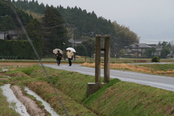 田園地帯の奥に宍道湖